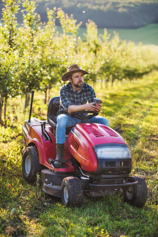 A front view of mature farmer with cup of coffee and tractor outdoors in orchard, resting.