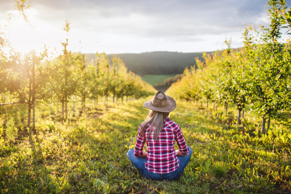 A rear view of female farmer with a hat sitting outdoors in orchard. Copy space.