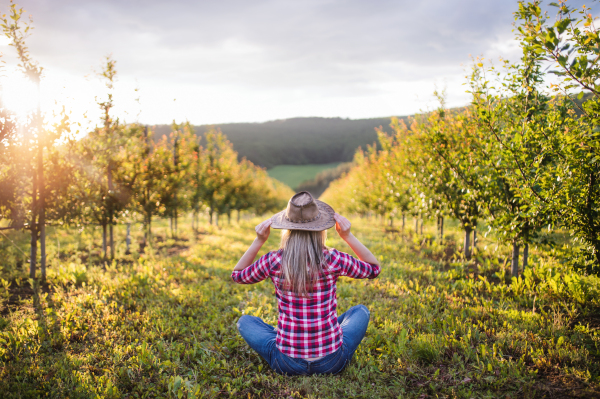 A rear view of female farmer with a hat sitting outdoors in orchard. Copy space.