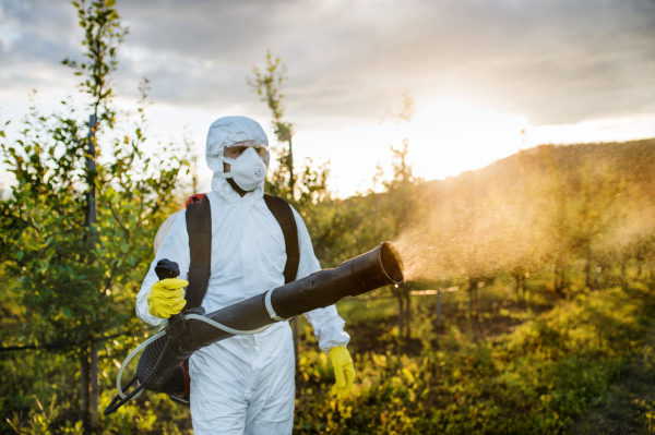 A farmer in protective suit walking outdoors in orchard at sunset, using pesticide chemicals.