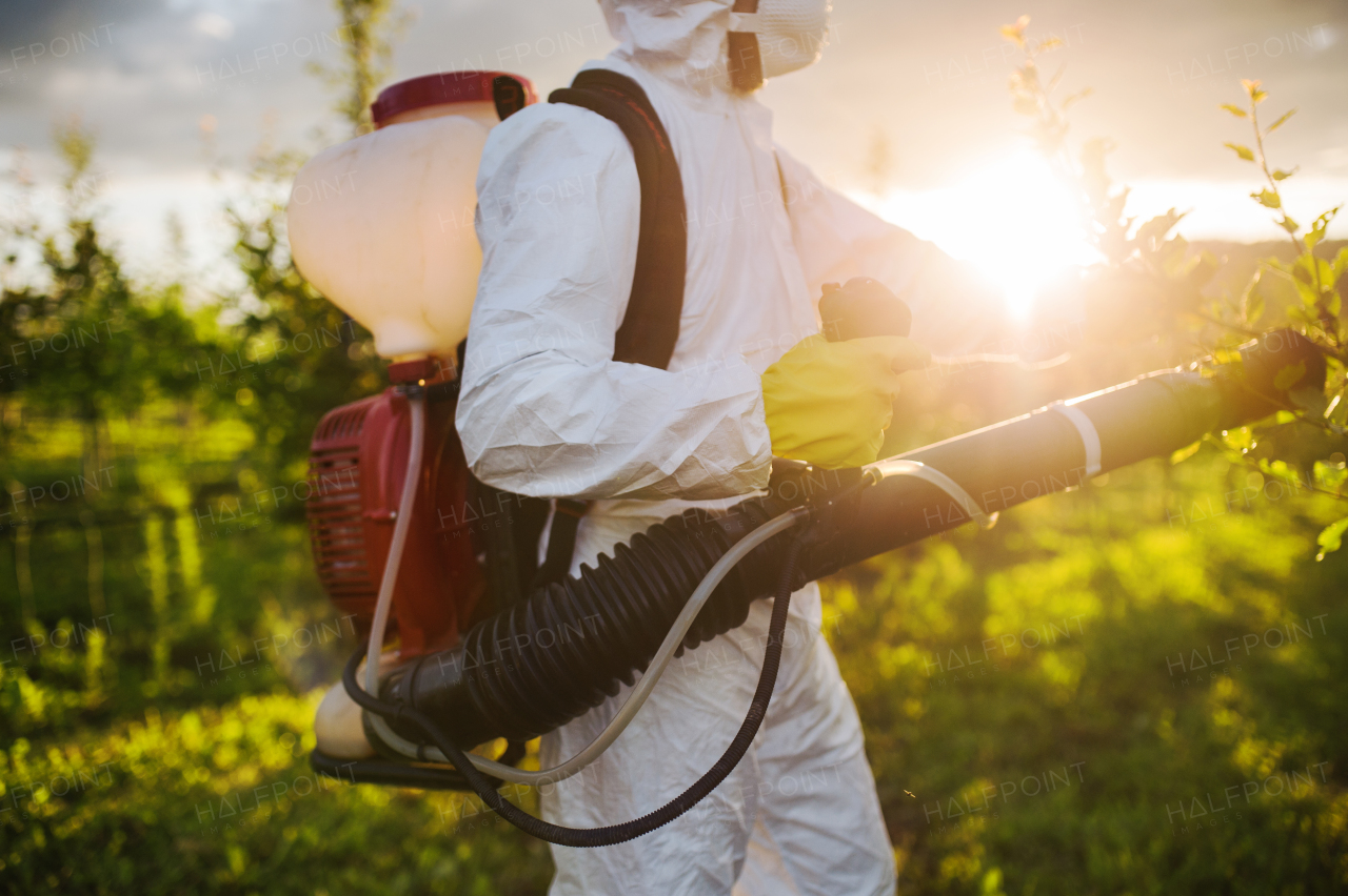 A farmer in protective suit walking outdoors in orchard at sunset, using pesticide chemicals.