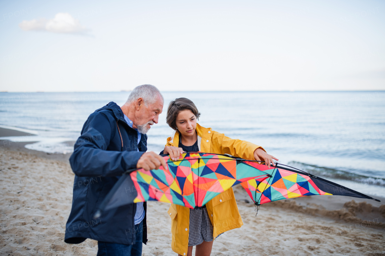 A senior man and his preteen granddaughter preparing kite for flying on sandy beach.