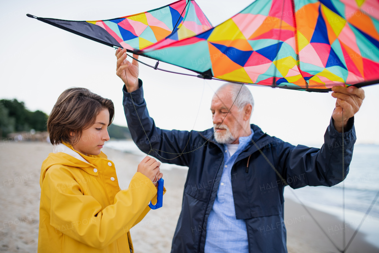 A senior man and his preteen granddaughter preparing kite for flying on sandy beach.