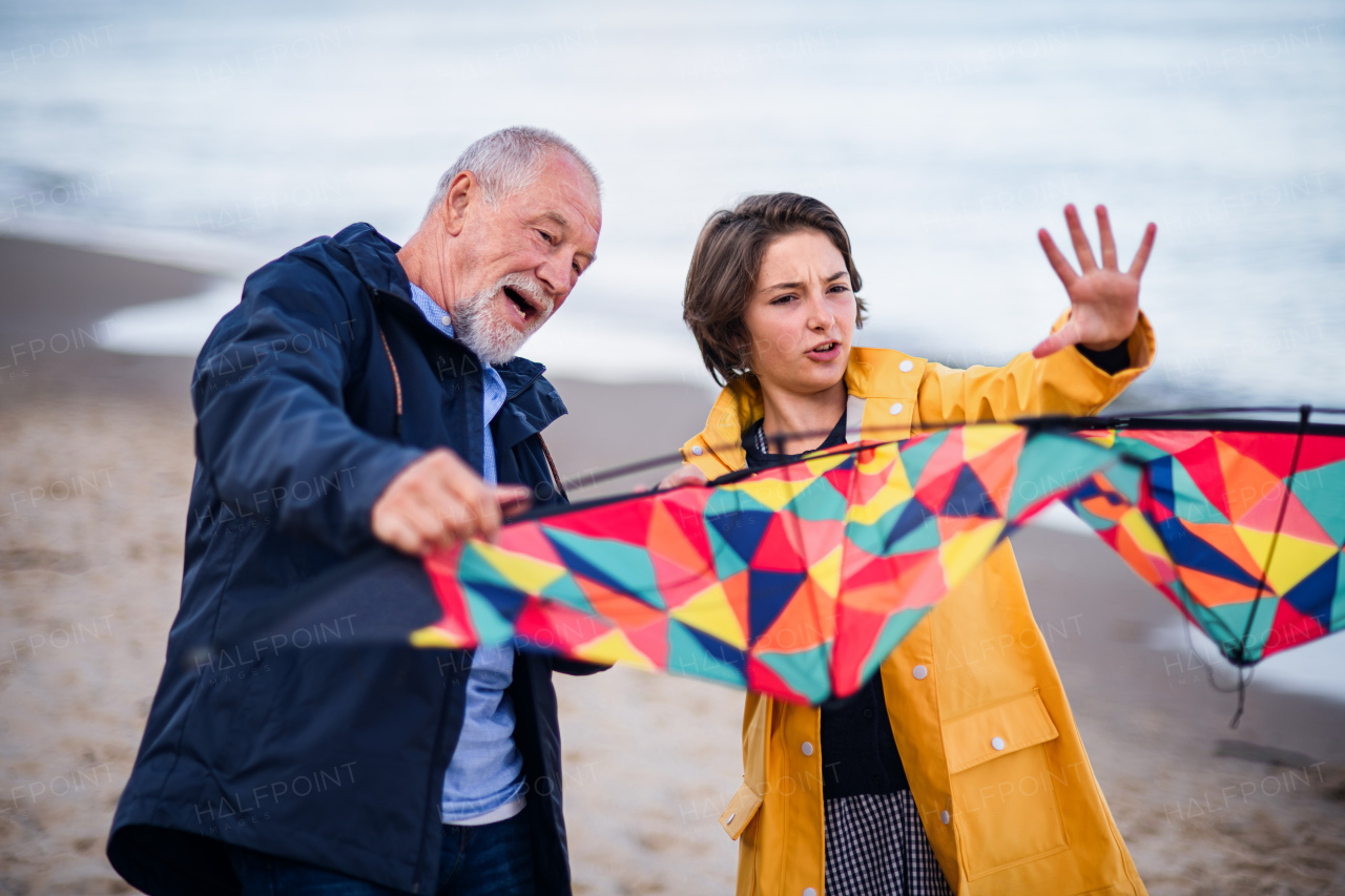 A senior man and his preteen granddaughter preparing kite for flying on sandy beach.