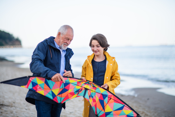 A senior man and his preteen granddaughter preparing kite for flying on sandy beach.