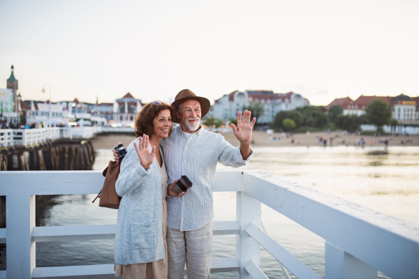 A happy senior couple vawing outdoors on pier by sea, posing for photo.