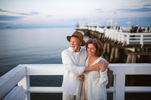 A high angle view of happy senior couple hugging outdoors on pier by sea, looking at view.