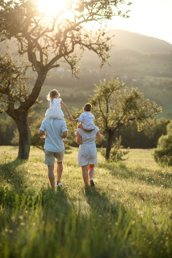 Rear view of family with two small children walking on meadow outdoors at sunset, piggyback ride.