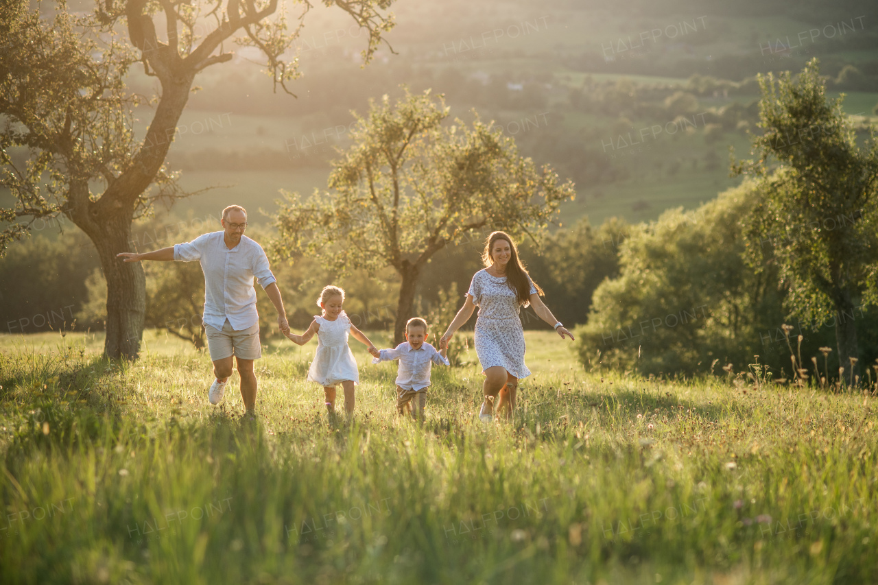 Happy young family with two small children walking on meadow outdoors at sunset.