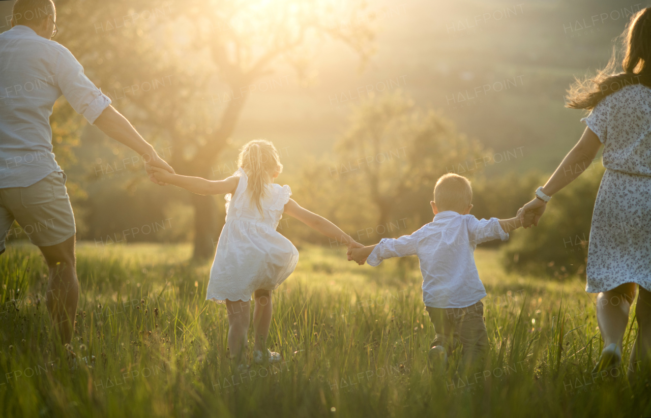 Rear view of family with two small children walking on meadow outdoors at sunset, midsection.