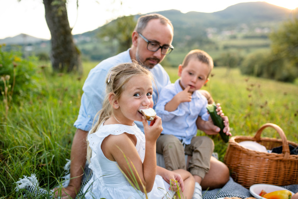 Single father with two small children on meadow outdoors, having picnic.