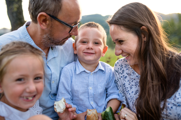 A young family with two small children on meadow outdoors, having picnic.