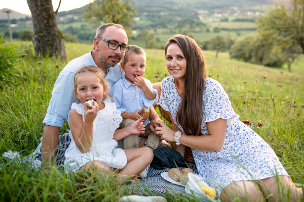 A young family with two small children on meadow outdoors, having picnic.