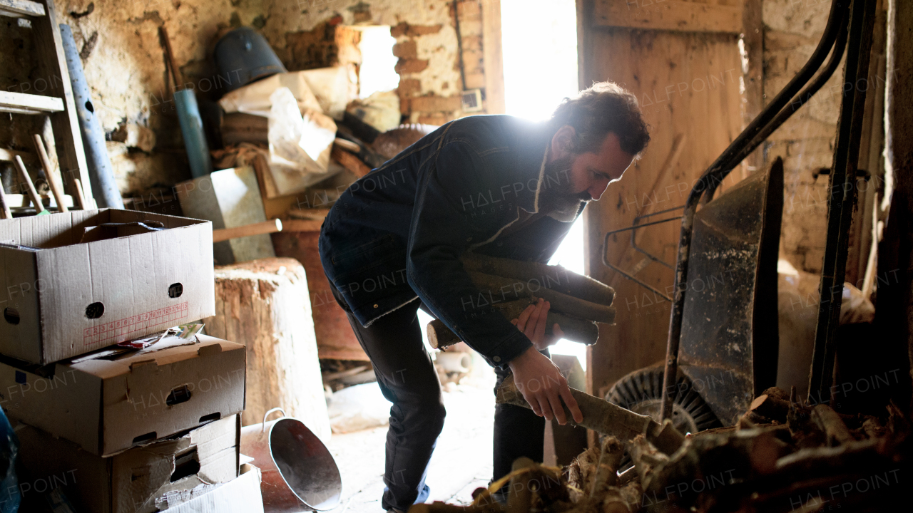 Poor mature man gathering firewood in shed at home, poverty concept.