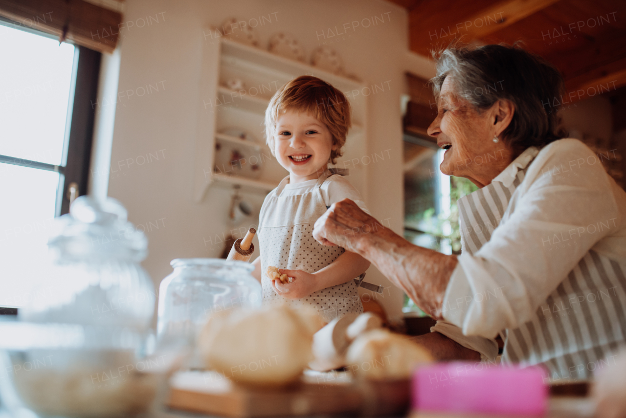 Happy senior great grandmother with small toddler boy making cakes at home.