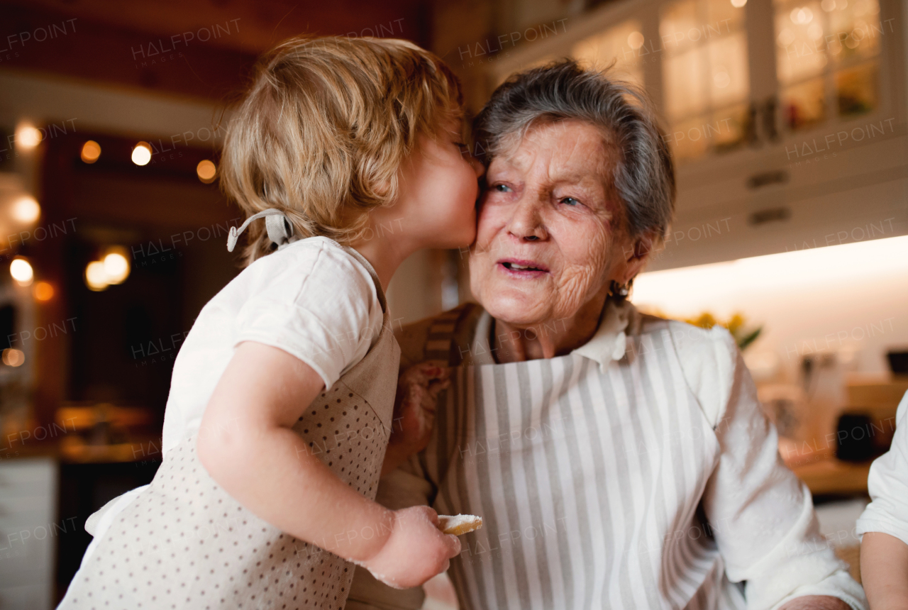 Happy senior great grandmother with small toddler boy making cakes at home, kissing.