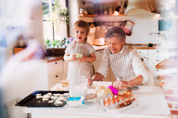 Happy senior great grandmother with small toddler boy making cakes at home. A shot through glass.