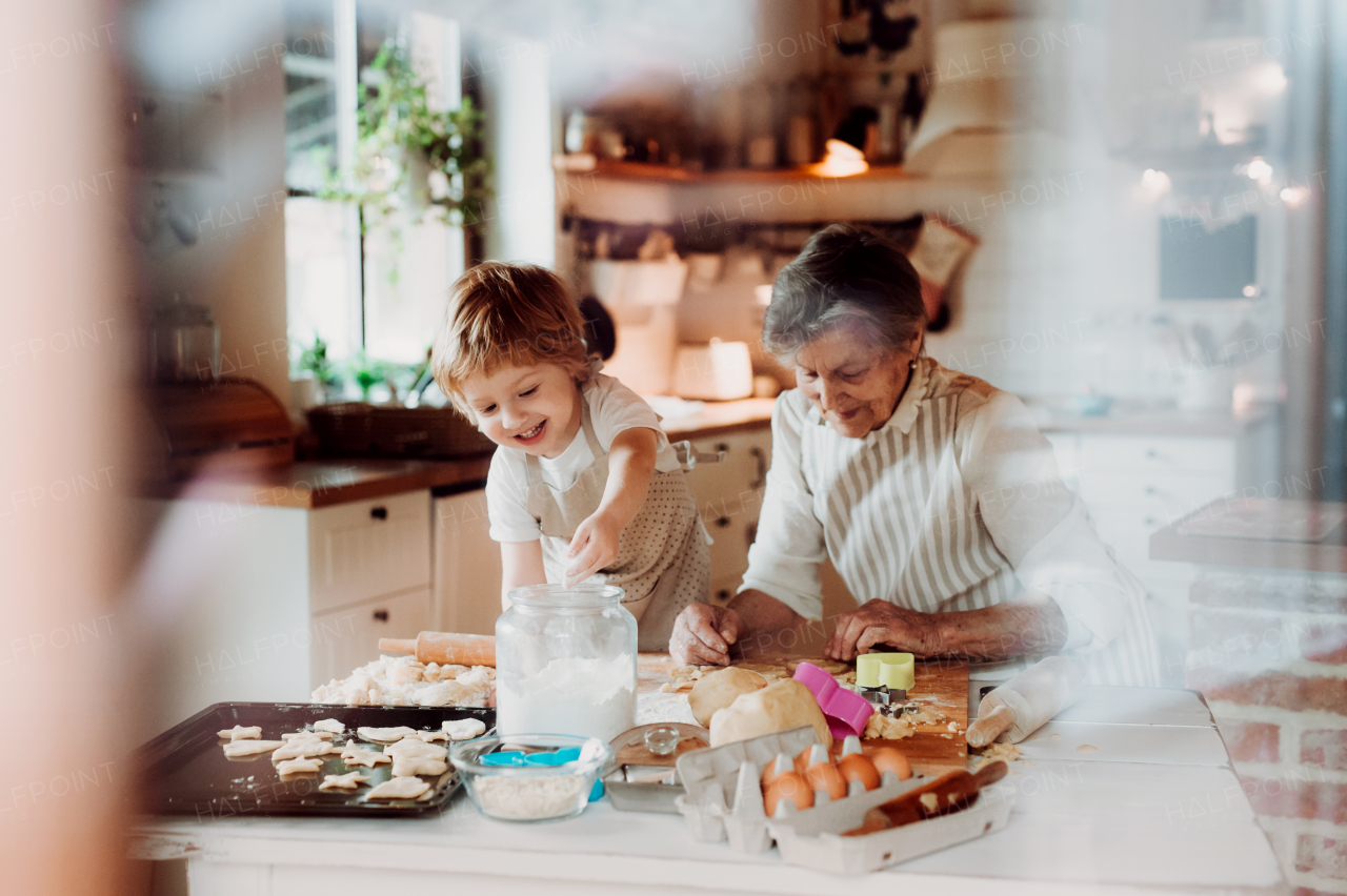 Happy senior great grandmother with small toddler boy making cakes at home. A shot through glass.