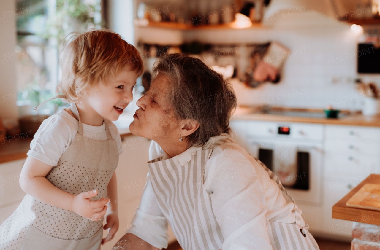 Happy senior great grandmother with small toddler boy making cakes at home, kissing.