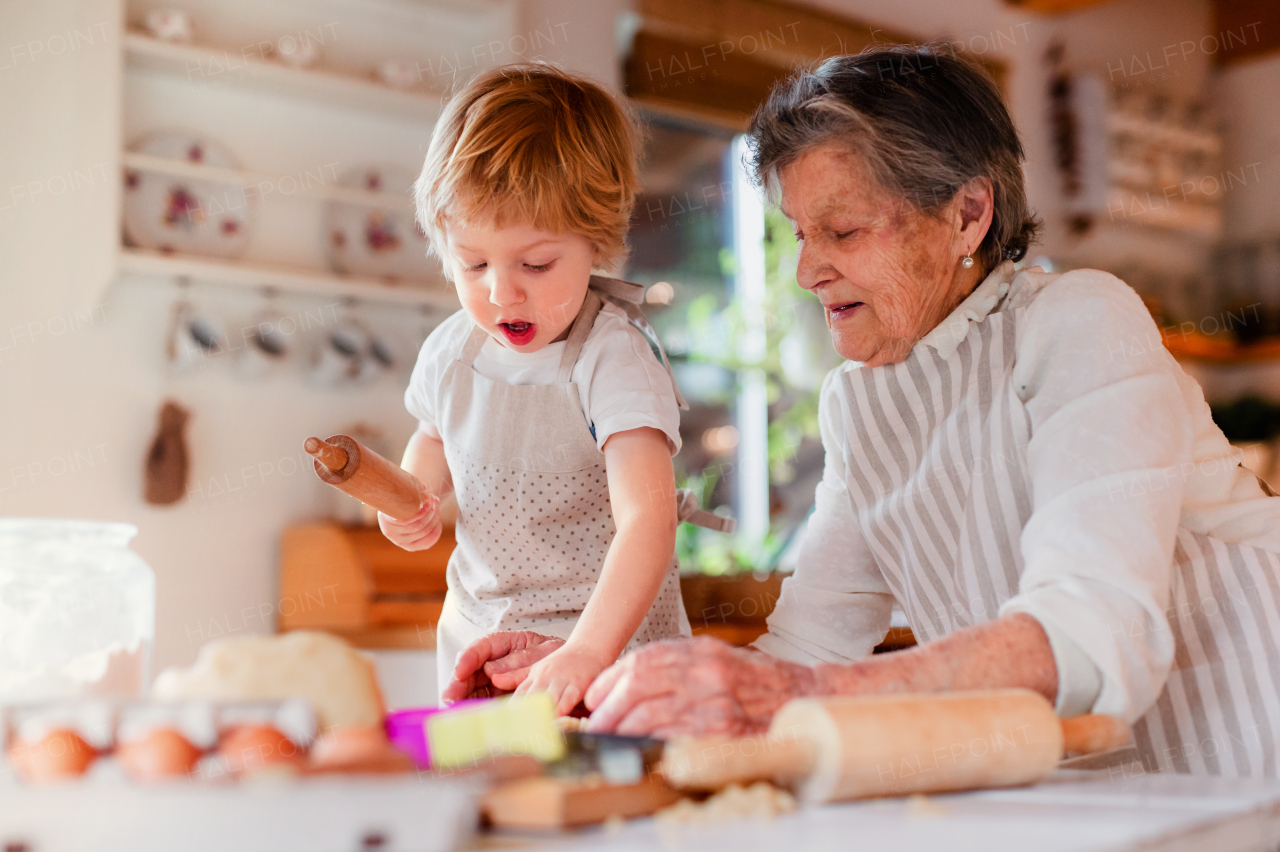 Happy senior great grandmother with small toddler boy making cakes at home.