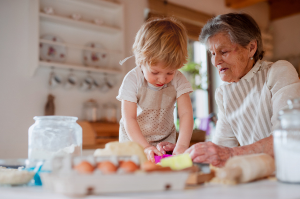 Happy senior great grandmother with small toddler boy making cakes at home.