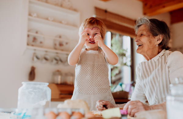 Happy senior great grandmother with small toddler boy making cakes at home.