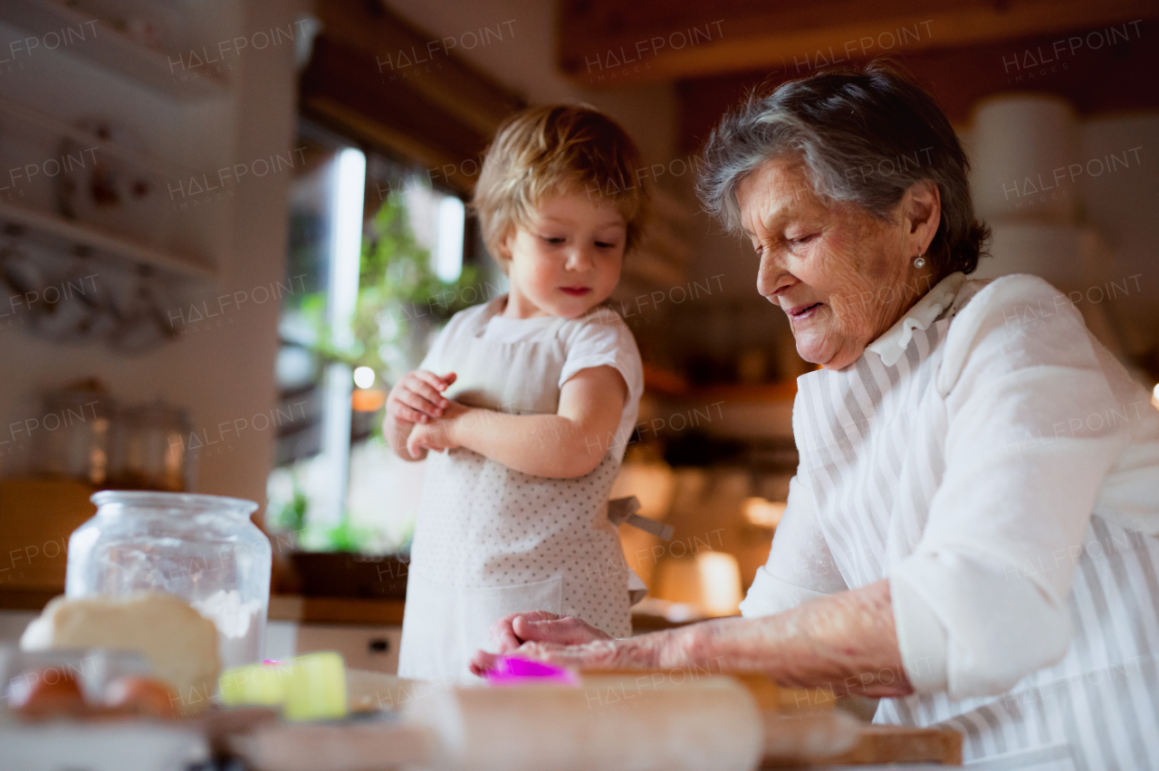 Happy senior great grandmother with small toddler boy making cakes at home.