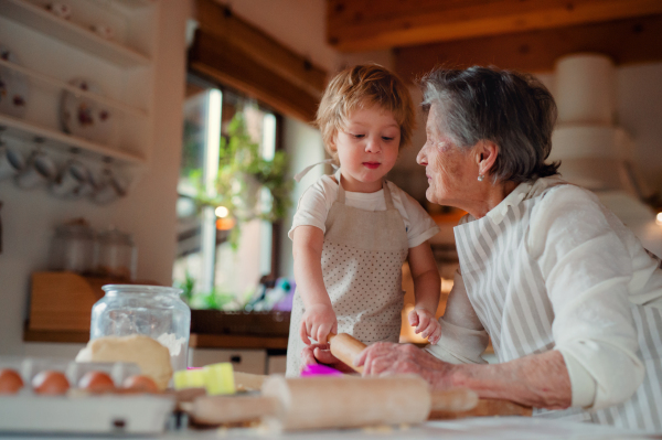 Happy senior great grandmother with small toddler boy making cakes at home.