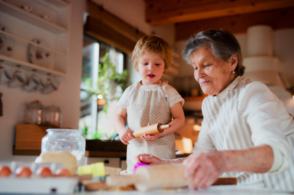 Happy senior great grandmother with small toddler boy making cakes at home.