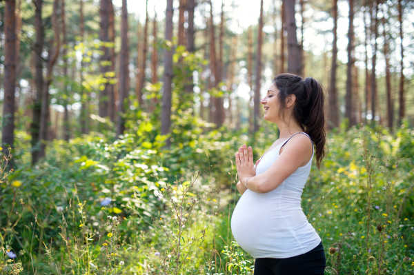 Side view portrait of happy pregnant woman outdoors in nature, doing yoga exercise.