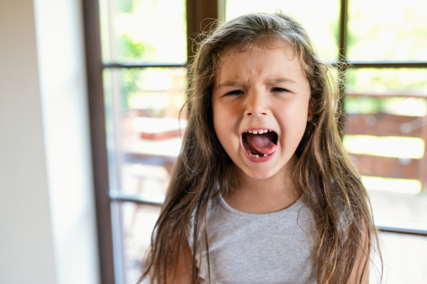 Portrait of angry and difficult small girl indoors, crying.