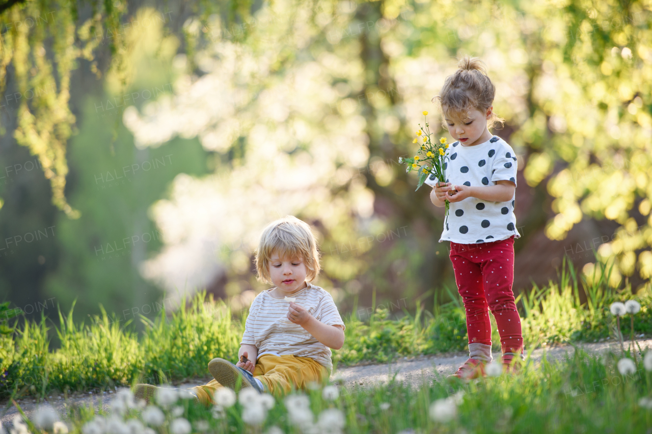 Front view of small children boy and girl playing outdoors in spring nature.