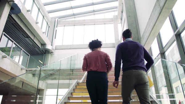 Rear view of three young businesspeople at work, walking up the stairs.