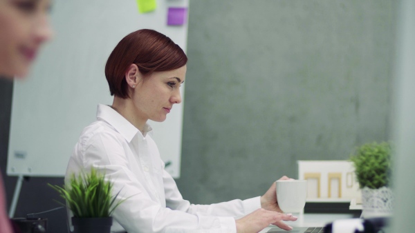 A female young architect with model of a house in office, working.