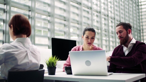 A group of young businesspeople working together in office, talking.