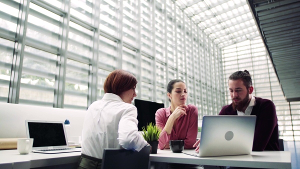 A group of young businesspeople working together in office, talking.