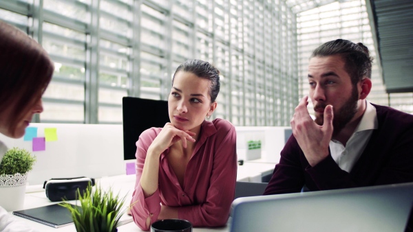 A group of young businesspeople working together in office, talking.