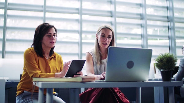 Two female businesspeople with laptop in office, working.