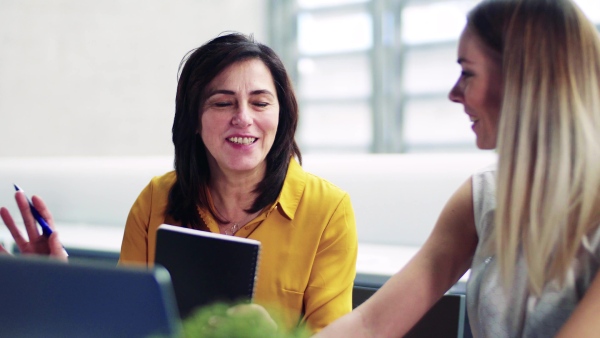 Two female businesspeople with laptop in office, expressing excitement.