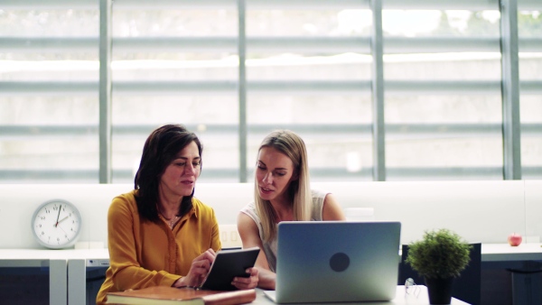 A group of businesspeople with laptop in office, working.