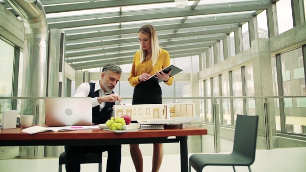 Two architects with model of a house in office, working and talking. Slow motion.