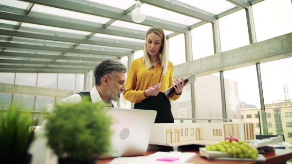 Two architects with model of a house standing in office, working and talking. Slow motion.