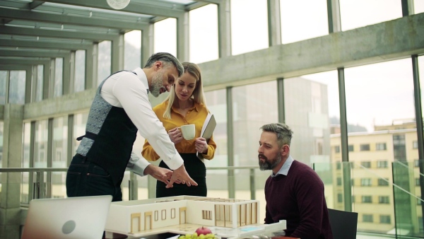 Group of architects with model of a house standing in office, working and talking. Slow motion.