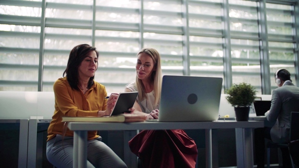 Group of businesspeople with laptop in office, working. Slow motion.