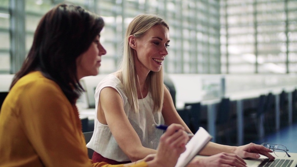 Two female businesspeople with laptop working in office, laughing. Slow motion.