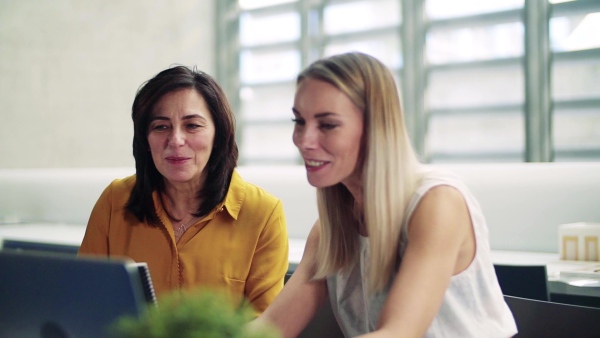 Two female businesspeople with laptop in office, expressing excitement. Slow motion.