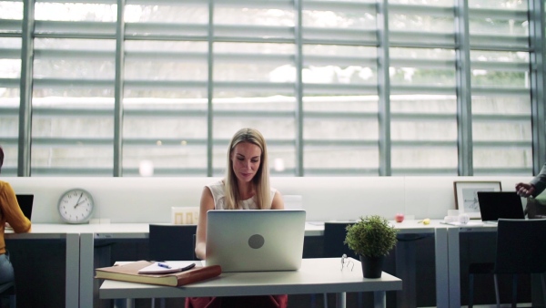 A group of businesspeople with laptop in office, having fun. Slow motion.