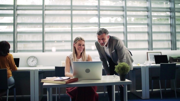 Group of businesspeople with laptop in office, expressing excitement. Slow motion.