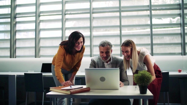 Group of businesspeople with laptop in office, expressing excitement. Slow motion.