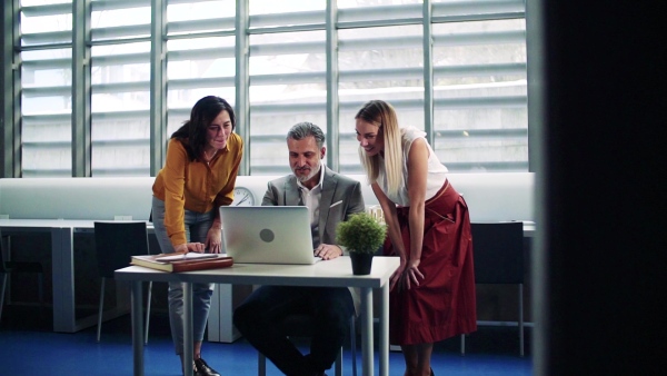 Group of businesspeople with laptop in office, expressing excitement. Slow motion.